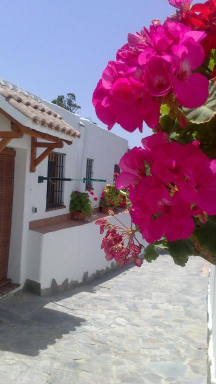 Casas El Molino Villa เวเฮร์ เด ลา ฟรอนเตรา ห้อง รูปภาพ